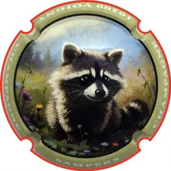 sampers-raton-laveur-série complete capsule et jeroboam