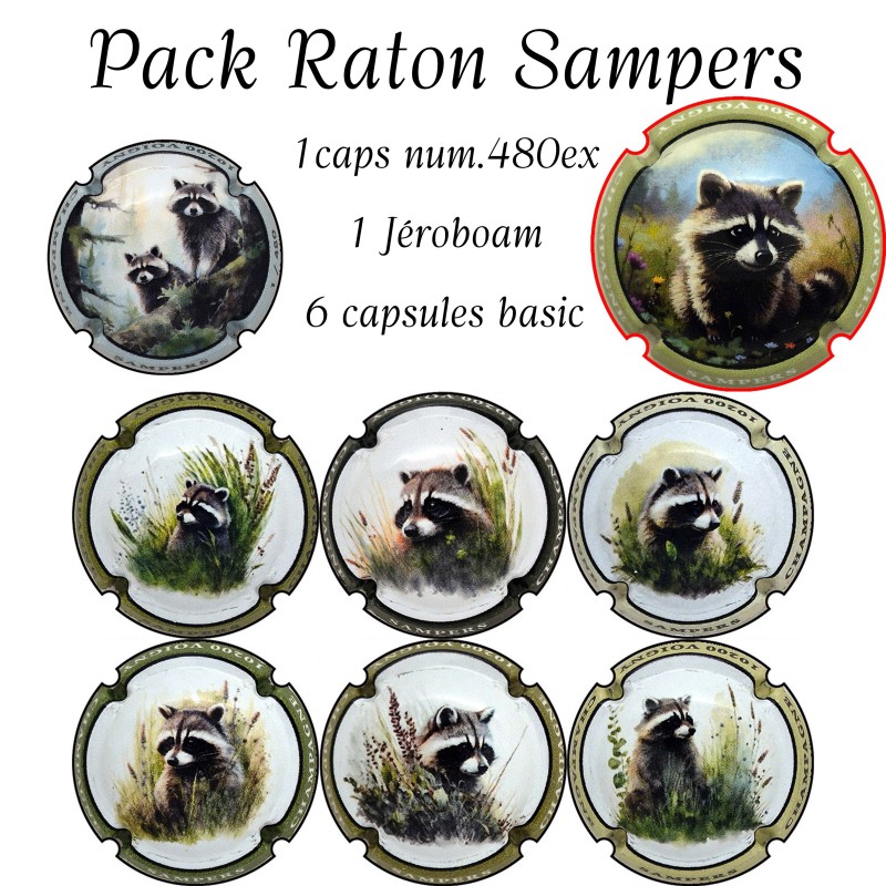 sampers-raton-laveur-série complete capsule et jeroboam