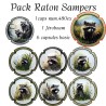 sampers-raton-laveur-série complete capsule et jeroboam