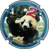 Guillette-Brest - n°279a