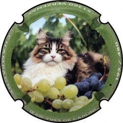 Kopie van Kopie van Kopie van Kopie van Kopie van Kopie van Kopie van Kopie van Kopie van Kopie van Kopie van Kopie van Kopie va