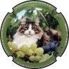 De Carlini Jean-Yves- n°61 serie chat vigne
