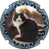 Kopie van Kopie van Kopie van Kopie van Kopie van Kopie van Kopie van Kopie van Albert de Cervin - n°52aa