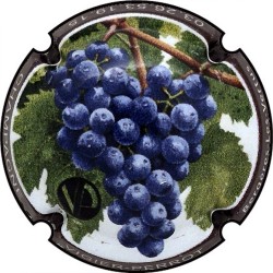 Kopie van Kopie van Kopie van Kopie van Kopie van Albert de Cervin - n°52aa