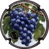 Kopie van Kopie van Kopie van Kopie van Kopie van Albert de Cervin - n°52aa