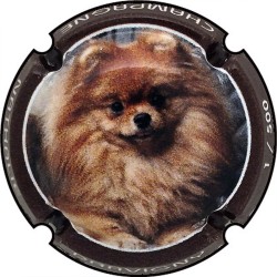 Dravigny Nathalie n°A polychrome chien série de 4