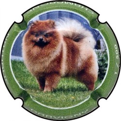Kopie van Kopie van Kopie van Kopie van Kopie van Kopie van Kopie van Kopie van Kopie van Kopie van Kopie van Kopie van Kopie va