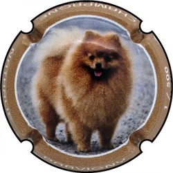 Kopie van Kopie van Kopie van Kopie van Kopie van Kopie van Kopie van Kopie van Kopie van Kopie van Kopie van Kopie van Kopie va